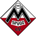 spvgg-mitterdorf.de